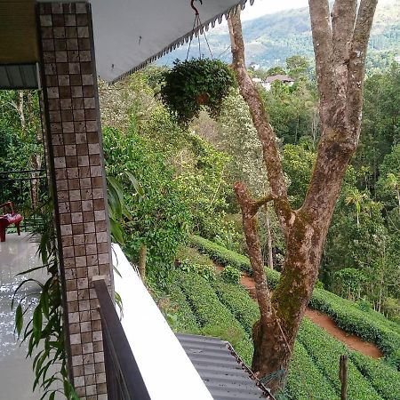 Green Tea View Munnar Exterior foto