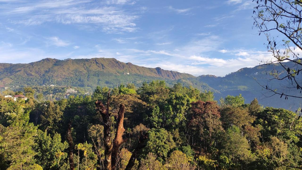 Green Tea View Munnar Exterior foto