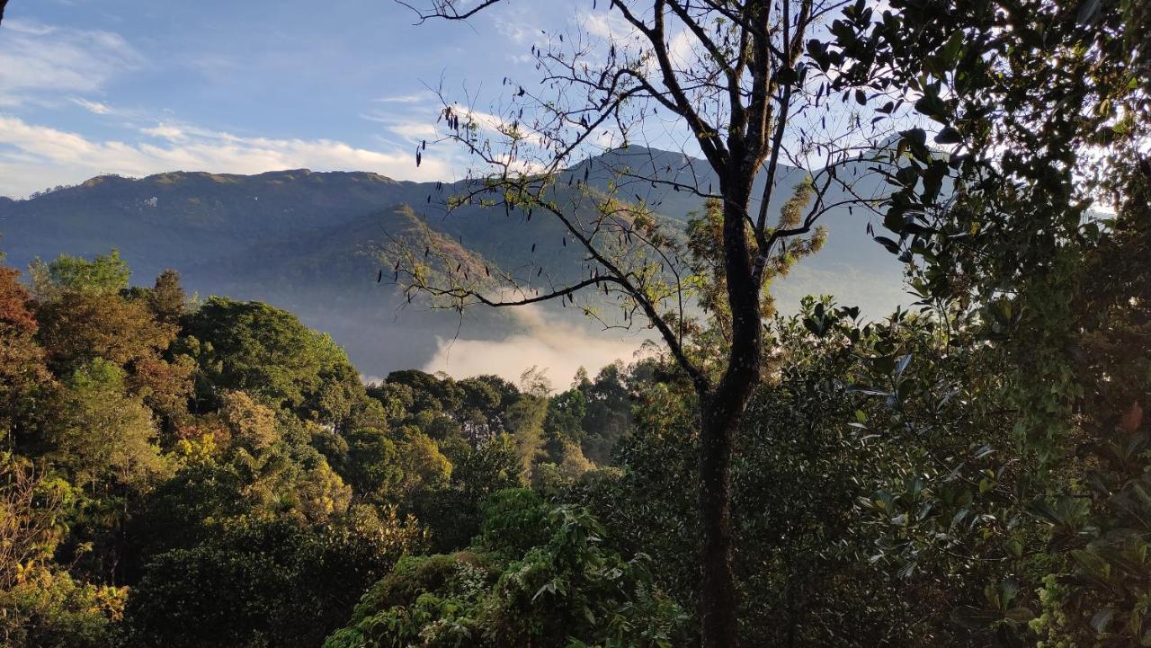 Green Tea View Munnar Exterior foto