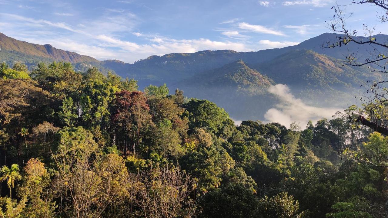 Green Tea View Munnar Exterior foto